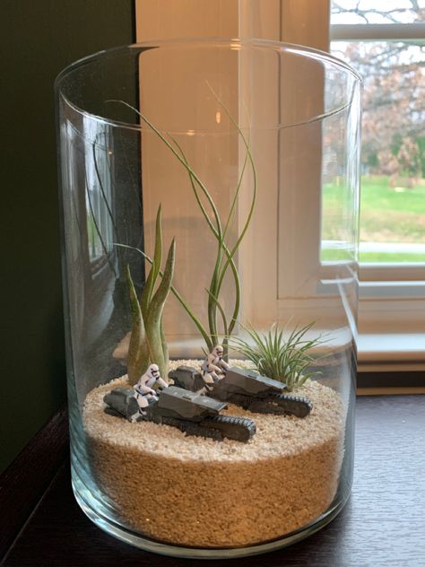 Star Wars Related Gifts, Star Wars Living Room Ideas, Star Wars Aesthetic Bedroom, Star Wars Inspired Decor, Airplane Terrarium, Nerdy Terrarium Ideas, Star Wars Terrarium Diy, Diy Star Wars Gift, Tatooine Aesthetic Bedroom