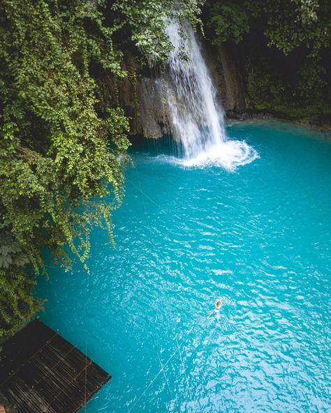 Cebu Waterfalls, Kawasan Falls Cebu, Kawasan Falls, Philippines Travel Guide, Cebu Philippines, By Bus, Cebu City, Philippines Travel, Beautiful Travel