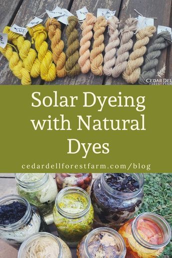 Dyeing Yarn With Natural Dyes, Natural Yarn Dyeing, Lichen Dye, Solar Dyeing, Eco Dyeing Fabric, Tinta Natural, Flower Dye, Forest Farm, Fabric Dyeing Techniques