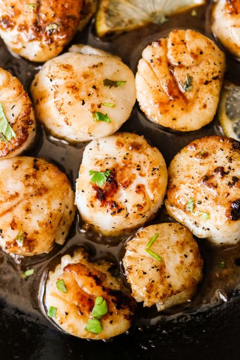 You'll never have scallops any other way after tasting these pan seared Whole30 scallops drizzled with lemon garlic ghee sauce. So tender and flavorful, and ready in just 10 minutes! #pansearedscallops #whole30 #paleo #keto #lowcarb #whole30seafood Whole30 Scallops, Paleo Seafood Recipes, How To Cook Scallops, Shrimp Scallops, Pan Seared Scallops, Fancy Dishes, Whole 30 Breakfast, Seared Scallops, Best Pans