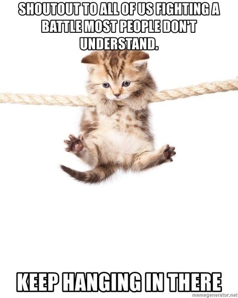 Keep Hanging In There!! Hanging In There Funny, Hang In There Quotes Encouragement Funny, Hang In There Quotes Funny, Hang In There Quotes Encouragement, Great Job Meme, Funny Advice Quotes, Hang In There Quotes, Hang In There Cat, Cat Sayings