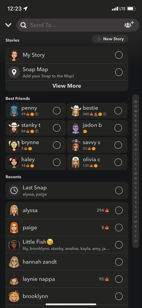 Snap Bsf List Emojis, Snap Bsf List, Emojis Snapchat, Snap Emojis, Emojis Aesthetic, Emoji Christmas, Snap Streaks, Snapchat Names, Snap Streak