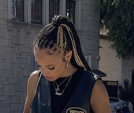 Skunk Stripe On Short 4c Hair, Blonde And Black Knotless Braids, Highlight Braids, Black And Blonde Knotless Braids, Blonde And Black Braids, Blond Box Braids, Box Braids Inspiration, Black Hairstyles Braids, Coloured Braids