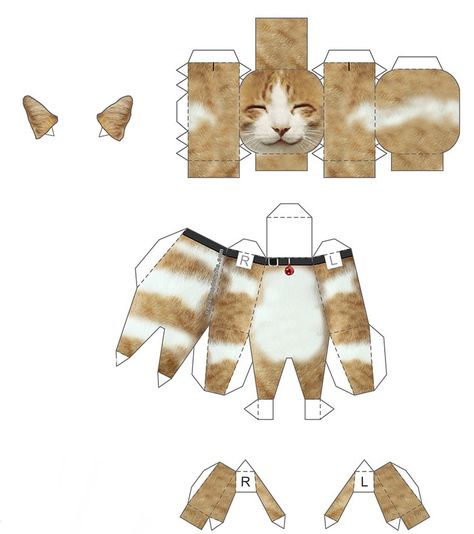 Paperized Cat, Cat Template, Cat Printable, Paper Dolls Diy, Paper Toys Template, Anime Printables, Paper Doll Template, Paper Animals, Paper Art Craft