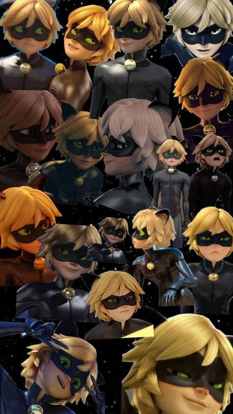 fundo kat noir ✨🖤 Cat Noir Aesthetic, Chat Noir Wallpaper, Cat Noir Wallpaper, Cute Backgrounds For Phones, Cat Noir, Cute Backgrounds, Aesthetic Wallpapers, Kitty, Disney