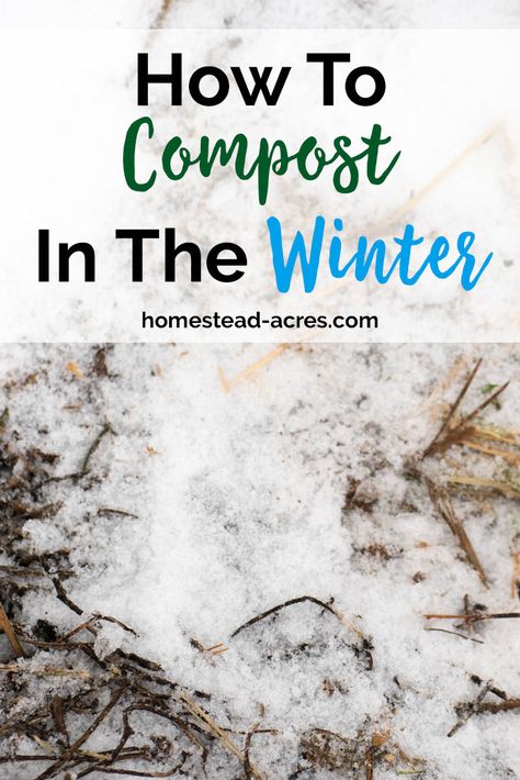 Compost Ideas, Compost Barrel, Apartment Composting, Make Compost, How To Compost, Compost Bin Diy, Compost Pile, Diy Compost, Winter Vegetables Gardening