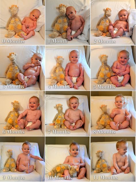 Monthly growth chart :) Baby Oyster, Monthly Pictures, Baby Growth, Foto Baby, Baby Time, Everything Baby, Jolie Photo, Every Month, Diy Halloween