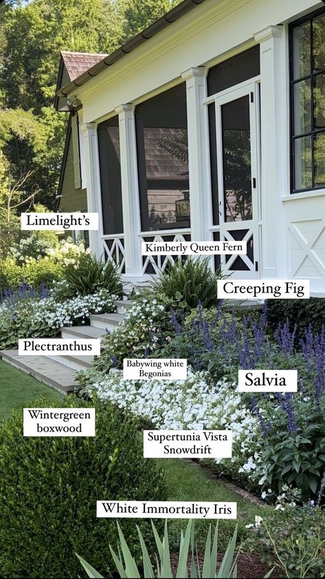 Yard Ideas Diy, Ideas Animal Crossing, Yard Ideas Cheap, Front Landscaping, Front Yard Garden Design, Dry Creek, Casa Exterior, Home Garden Design, Backyard Inspo