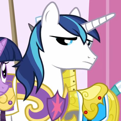 Shining Armor Mlp, Canterlot Wedding, Mlp Friendship Is Magic, Mlp Pony, My Little Pony Characters, Icon Pfp, Friendship Is Magic, My Little Pony, Collage