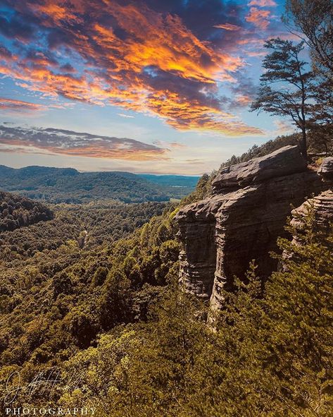 Experience the beauty of Kentucky and explore local hikes and discover natural wonders in the mid-west. Here is our list of the top adventures near Guthrie, Kentucky: - Clarksville Greenway - Kings Bluff - Hopkinsville Rail Trail - Dunbar Cave State Park - The Pinnacles of Berea Photography: Jeff Hubbs Kentucky Mountains, Event Venues, Natural Wonders, State Park, State Parks, Kentucky, Nashville, Hiking, Wonder