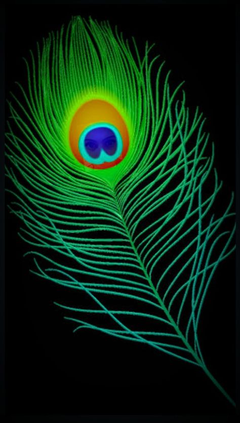 This is my one of lord Krishna feather 🦚

💚👓🖤 Peacoke Feather Painting, Feather Art Drawing, Krishna Rangoli, Peacock Feather Design, Digital Painting Photoshop, Feather Background, Peacock Images, Mural Art Design, Peacock Pictures