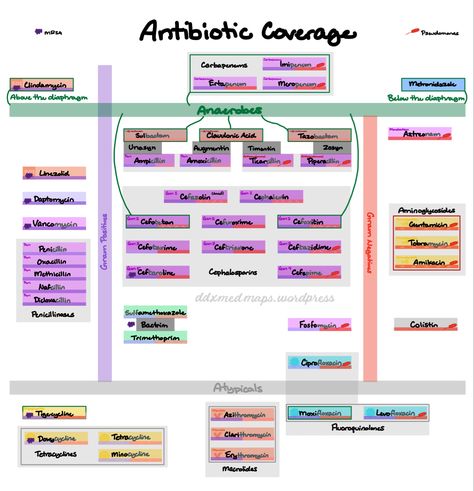 Antibiotic Coverage Chart, Penicillin Antibiotic, Antibiotics Chart, Antibiotics Pharmacology, Pharmacist Student, Glasgow Coma Scale, Pa Life, Nurse Practitioner School, Septic Shock