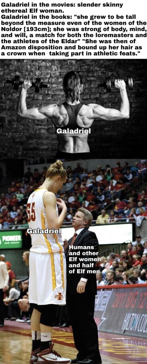 Image Meme, Lotr Funny, The Silmarillion, Thranduil, Resting Place, Jrr Tolkien, Legolas, Basketball Player, Middle Earth