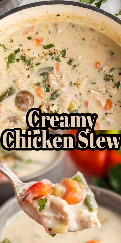 Chicken Stew Creamy, Boneless Skinless Chicken Thigh Soup Recipes, White Chicken Stew, Creamy Chicken Stew Instant Pot, Shredded Chicken Stew, Rotisserie Chicken Stew Recipes, Creamy Chicken Stew Crockpot, Irish Chicken Stew, Creamy Chicken Stew Recipe