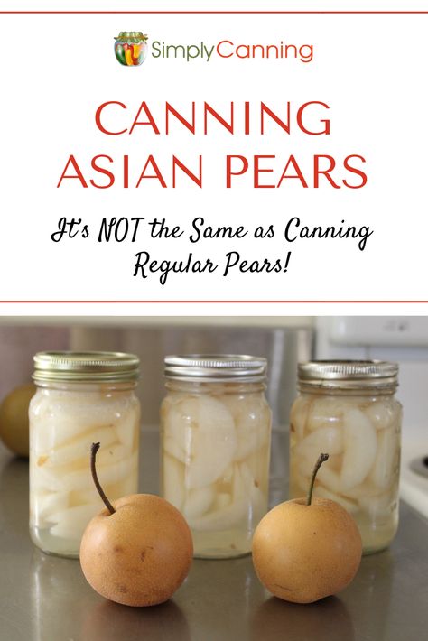 Canned Asian Pears, Asian Canning Recipes, Preserving Asian Pears, Asian Pear Jam Recipe Canning, Asian Pear Preserves Recipe, Asian Pear Canning Recipes, Canning Asian Pears Recipes, Recipes With Asian Pears, Canning Asian Pears