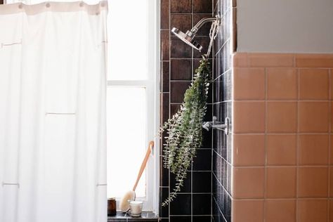 This $3 Trader Joe's Buy Will Instantly Upgrade Any Bathroom — But You're Probably Missing This Important Step Easy Bathroom Upgrades, Shower Grout, Home Maintenance Checklist, Maintenance Checklist, Shower Organization, Look Expensive, Black Tiles, Drain Cleaner, Grout Cleaner