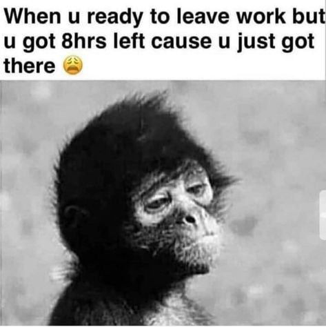 when you ready to leave work but you got 8 hours left cause you just got there. Quotes About Leaving, Mzansi Memes, Leaving Quotes, What I Like About You, Memes No, Reps And Sets, Leaving Work, Tuesday Humor, Cute Funny Pics