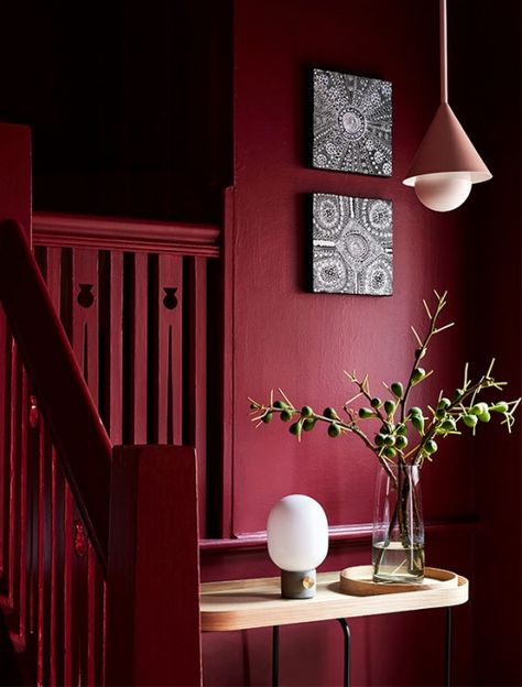 A curated 'Apartment' showroom and studio in South Yarra - and an introduction to Lauren Li, our new interiors columnist. Red Interior Design, Red Wall, Interior Design Photos, Red Home Decor, Red Decor, Red Rooms, Wall Paint Colors, Red Walls, Red Interiors