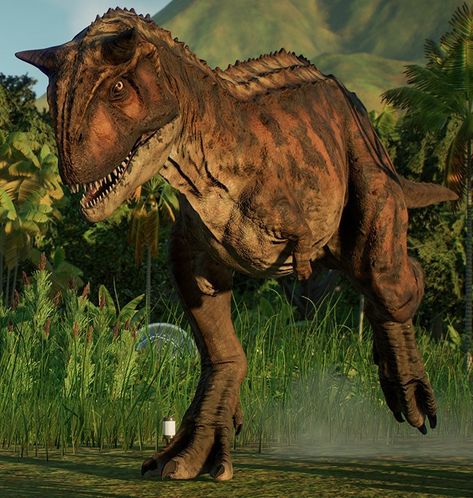 Jurassic World Evolution Deinonychus | Jurassic Park Operation Genesis (Fallen Kingdom Mod), Jurassic World Evolution 2 Camp Cretaceous Pack] Toro The Carnotaurus Gen 8 he carnivore a genus of large theropod dinosaur that lived in what is now south america during the late cretaceous period it was carnivorous and bipedal and unlike other dinosaurs at the time may have had binocular vision toro have home and kajiu and bracelet radio roar sound need he from vorton be good guy pet to the superheroes Jurassic World Carnotaurus, Theropod Dinosaur, Jurassic World Evolution 2, Prehistoric Animals Dinosaurs, Jurassic World Evolution, Dinosaur Games, Dinosaur World, Dinosaur Photo, All Dinosaurs