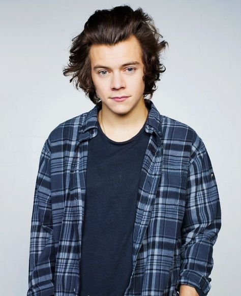 Harry Styles Haircut, Harry Styles Live, One Direction Harry Styles, Plaid Shirt Men, One Direction Harry, Harry Styles Pictures, Harry Styles Love On Tour, Men Fashion Casual Outfits, Harry Edward Styles