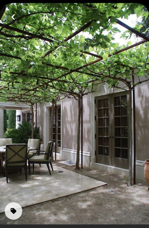 Pergola Patio, Outdoor Pergola, Courtyard Garden, Backyard Patio Designs, Outdoor Rooms, Backyard Landscaping Designs, Backyard Design, Outdoor Design, Dream Garden