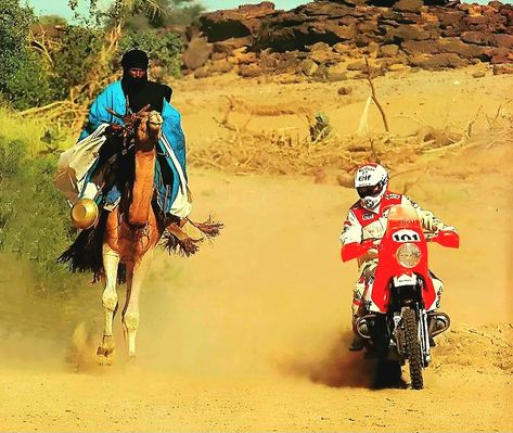 Paris Dakar Rally, Motorcycle Adventure, Dakar Rally, Paris Dakar, Motorcycle Dirt Bike, Off Road Racing, Off Road Motorcycle, Bmw Motorcycles, Adventure Motorcycling