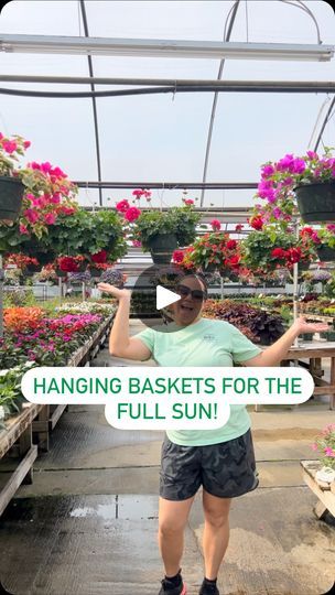 5.1K views · 562 reactions | Hanging Baskets for the FULL SUN ☀️. These plants can tolerate 6-8 hours of direct sunlight, including the intense afternoon sun. 

🌸 Bougainvillea 
🌸 Geranium
🌸 Dragon Wing Begonias
🌸 Million Bells
🌸 Petunias
🌸 Sunpatiens 
🌸 Mezoo

#hangingbasket #hangingbaskets #flowersforsun #bougainvillea #petunia #begonia #geranium #sunpatiens #mezoo | Fairview Garden Center | Tundra Beats · Perfect Day Million Bells, Dragon Wing, Homestead Gardens, Plants For Hanging Baskets, Plant Hacks, Afternoon Sun, Garden Containers, Front Porch Decorating, 10k Views