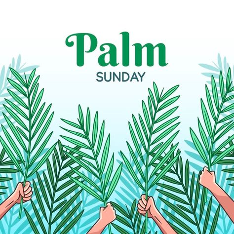 Hand drawn palm sunday illustration Free Vector Sunday Illustration, Good Friday Images, School Illustration, Bible Quotes Telugu, Palm Sunday, Holy Week, Bible Journal, Window Art, Church Decor