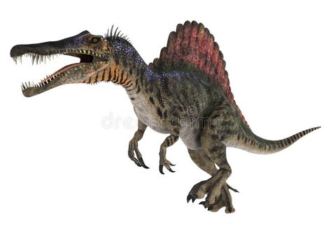 Dinosaur Spinosaurus. 3D digital render of a running Cretaceous dinosaur Spinosa #Sponsored , #PAID, #ad, #digital, #dinosaur, #Spinosa, #Spinosaurus Spinosaurus Illustration, Spiny Lizard, Dinosaur Spinosaurus, Watercolor Paper Texture, Background Illustration, Paper Texture, Watercolor Paper, Digital Illustration, Stock Illustration