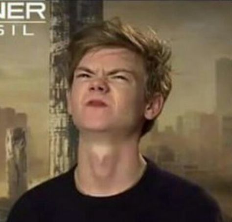 Angry Bunny, Thomas Brodie Sangster Imagines, Maze Runner Thomas, Maze Runner Trilogy, Maze Runner Funny, Maze Runner Cast, A Hamster, Newt Maze Runner, Thomas Sangster