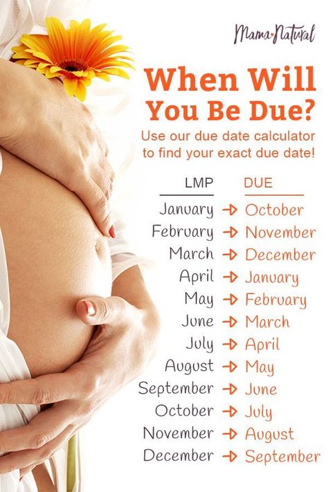 Due Date Calculator, Im Pregnant, Pregnancy Calendar, Due Date Calendar, Pregnancy Calculator, Mom Things, Pregnancy Info, Mama Natural, Pregnancy Information