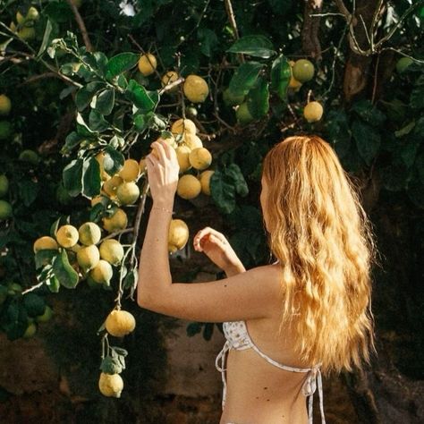 Under The Lemon Tree, Lemon Poppy, Tree Woman, Lemon Tree, Italian Summer, European Summer, Summer Fruit, Summer Heat, Maternity Pictures