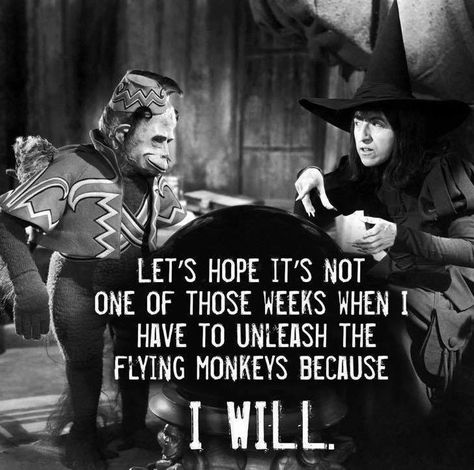 Don't make me release the flying monkeys. Wizard Of Oz Quotes, Witch Quotes, Flying Monkeys, Halloween Quotes, Teacher Humor, Wizard Of Oz, Bones Funny, Halloween Funny, Monkeys