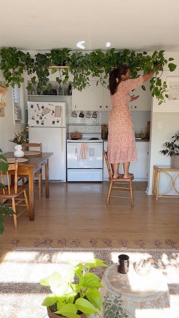 Lots Of Plants, Kitchen Shelf, Kitchen Shelves, My Kitchen, Shag Rug, Loft Bed, Apartment, Shelves, Train