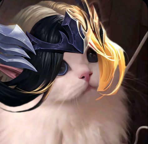 𝑴𝒍𝒃𝒃 𝒄𝒂𝒕 Mlbb Cat Pfp, Mlbb Cat Icon, Ml Pfp, Lunox Mlbb, Legend Cat, Mlbb Icons, Mlbb Fanart, Find Icons, True Gentleman