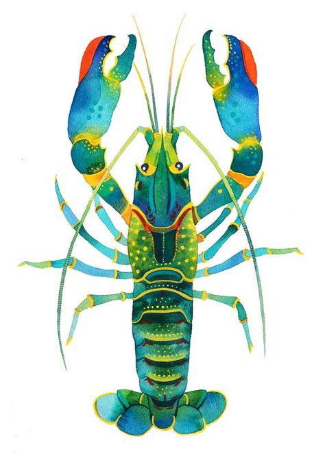 Lobster Drawing, Lobster Illustration, Lobster Art, Blue Lobster, Crab Art, Watercolor Nature, Art Coquillage, Arte Folk, Watercolor Red