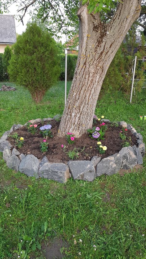 Stone Around Trees Landscaping Ideas, Base Of Tree Landscaping, Tree Base Landscaping, Ideas Around Trees, Modern Garden Design Ideas, Pet Memorial Garden, Landscaping Around Trees, Front Yard Decor, Small Yard Landscaping