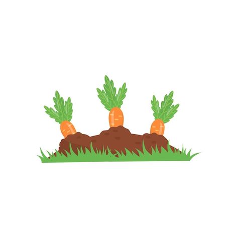 Carrot growing from ground vegetable on ... | Premium Vector #Freepik #vector #carrot #organic-farm #vegetable-farm #carrot-cartoon Carrot Cartoon, Carrot Farm, How To Plant Carrots, Vegetable Farm, Carrot Gardening, Vegetable Garden Beds, Plant Cartoon, Growing Carrots, Organic Recipes Healthy