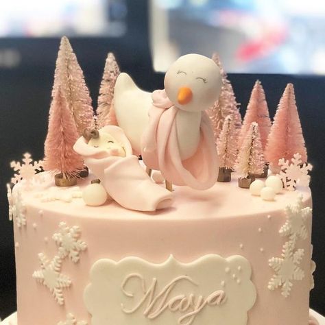 The Cake Studio, Inc on Instagram: "We are closed until May, but still want to fill your feed with our beauties. Let’s remember some of of 2019 cakes! . . . . #2019cakes #winterbabyshower #bakedfreshforyou" Winter Baby Shower Cakes Girl, Christmas Baby Shower Cake, Winter Baby Shower Cake, Winter Baby Shower Themes, Baby Shower Cakes Girl, Outside Baby Showers, Cake Studio, We Are Closed, Christmas Baby Shower