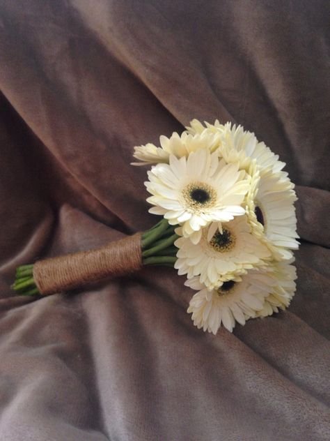 White Gerbera Bouquet, Wedding Gerbera Bouquet, White Gerbera Daisy Bouquet, Wedding Bouquets Gerbera, Gerbera Daisy Bridal Bouquet, Gerbera Daisy Bouquet Wedding, Diy Hand Bouquet Wedding, White Gerber Daisy Bouquet, Gerbera Wedding Bouquet