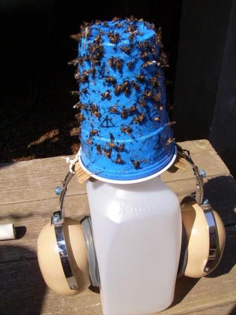 Deer Fly Traps- Great Blog on how to catch these and to prevent from getting bitten. These are the flys that spread Coggins.  Make sure you read the comments for other ideas. Some have used blue plates,cups,salad bowls,painters tape and spread with  Tanglefoot paste They are atracted to bright blue. Need to hang these in stalls. Diy Fly Repellent, Deer Flies, Deer Fly, Bug Killer, Horse Info, Future Farms, Fly Repellant, Horse Fly, Fly Trap