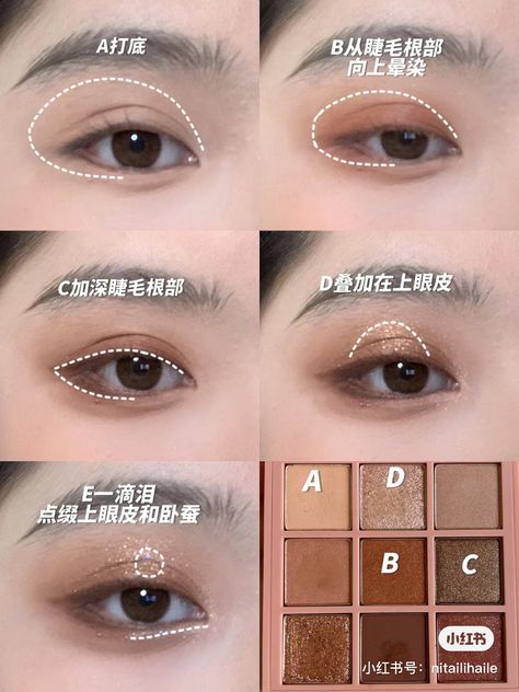 Asian Eyeshadow, Eyeshadow Placement, Makeup Placement, Artist Tips, Makeup Artist Tips, Makeup Makeup, Eye Makeup Tutorial, Makeup Eyeshadow, Makeup Routine