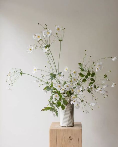 Flowers Composition, Bouquet Champetre, Anemone Bouquet, Easy Flowers, Japanese Anemone, Greenery Arrangements, Flower Artists, Kiosk Design, Composition Design