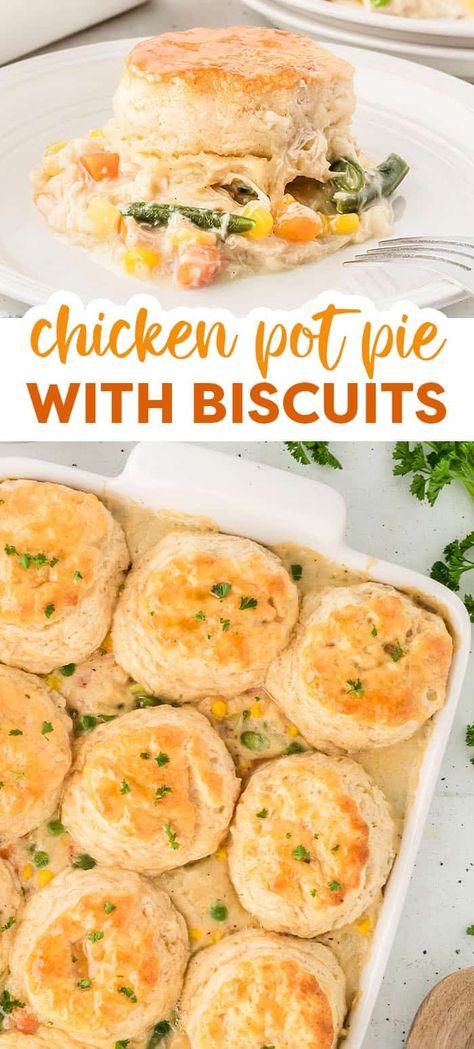 This Chicken Pot Pie with Biscuits is more casserole than pie with a hearty and creamy chicken pot pie filling and buttery, flaky homemade biscuits baked to perfection! Biscuit Chicken Pot Pie, Pie Chicken, Creamy Chicken Pot Pie, Pot Pie Casserole, Chicken Pot Pie Filling, Meatloaf Dinner, Chicken Pot Pie Casserole, Hearty Chicken, Shredded Chicken Recipes