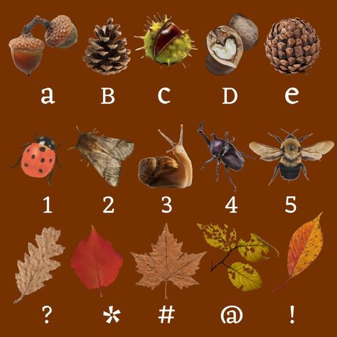 autumn aesthetic forest forestcore bugs bingo Autumn Forest Aesthetic, Autumn Bingo, Forest Bugs, Fantasy Ball, Tag Yourself, Aesthetic Objects, Forest Aesthetic, Aesthetic Forest, Autumn Forest