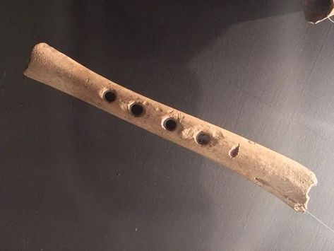 Viking bone flute - Medievalists.net Bone Flute, Viking Age, Sounds Like, Vikings, Sweden, Bones, Sound, Music