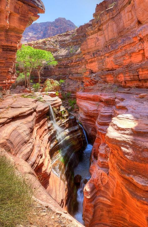 Deer Creek Canyon In Grand Canyon Beautiful Places In America, American States, Deer Creek, Places In America, Nice Places, Have Inspiration, Red Rocks, The Grand Canyon, Grand Canyon National Park