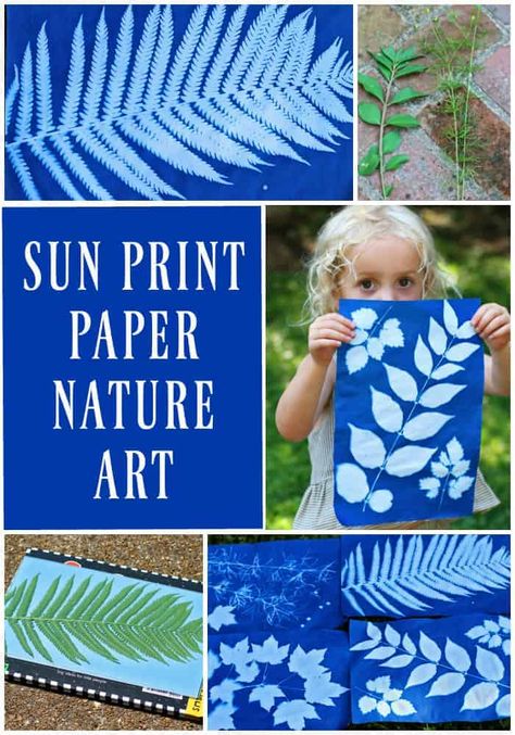 Kids Nature Activities, Art Soleil, Sun Prints, Nature School, Nature Camping, Sun Art, Nature Kids, Camping Crafts, Camping Art