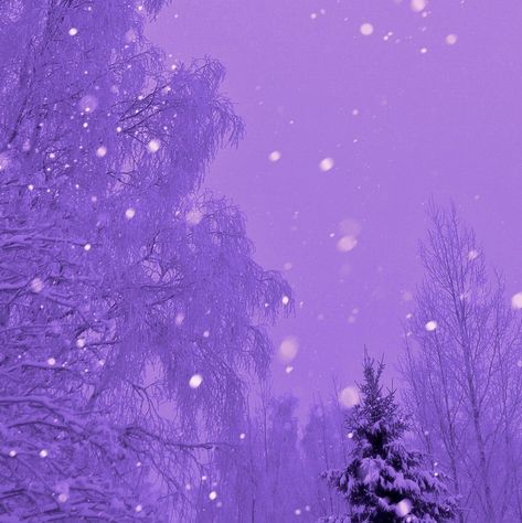 Light Purple Winter Aesthetic, Purple Ice Aesthetic, Lavender Christmas Aesthetic, Christmas Aesthetic Purple, Purple Winter Aesthetic, Purple Ethereal Aesthetic, Purple Christmas Background, Soft Purple Aesthetic, Purple Autumn