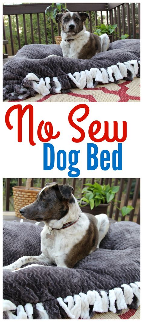 Cheap Dog Bed Ideas, Diy Dog Placemat, Simple Diy Dog Bed, Diy Dog Bed Pillow How To Make, Dog Bed Diy Easy, Diy Dog Pillow For Large Dogs, Diy No Sew Dog Bed, How To Make A Dog Bed Out Of Pillows, Dog Bed Ideas Diy Simple